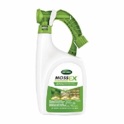 Moss Control