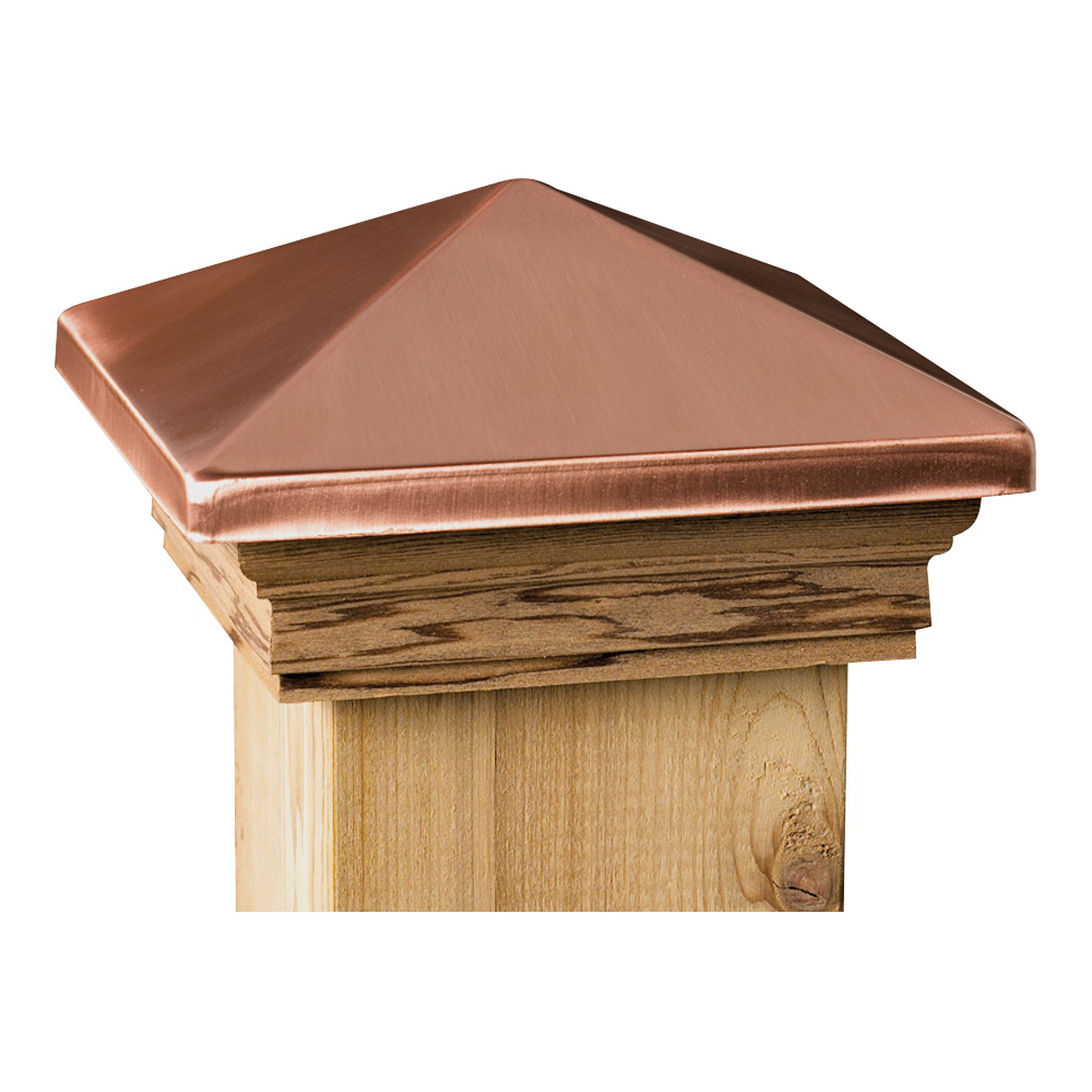 Maine Ornamental 72217