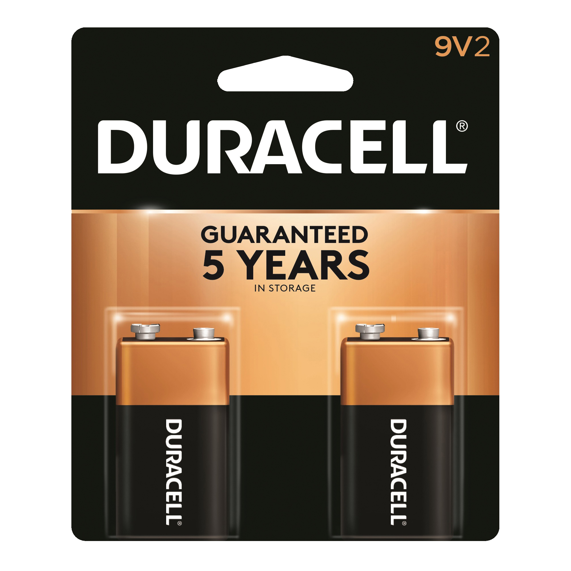 Duracell MN1604B2Z