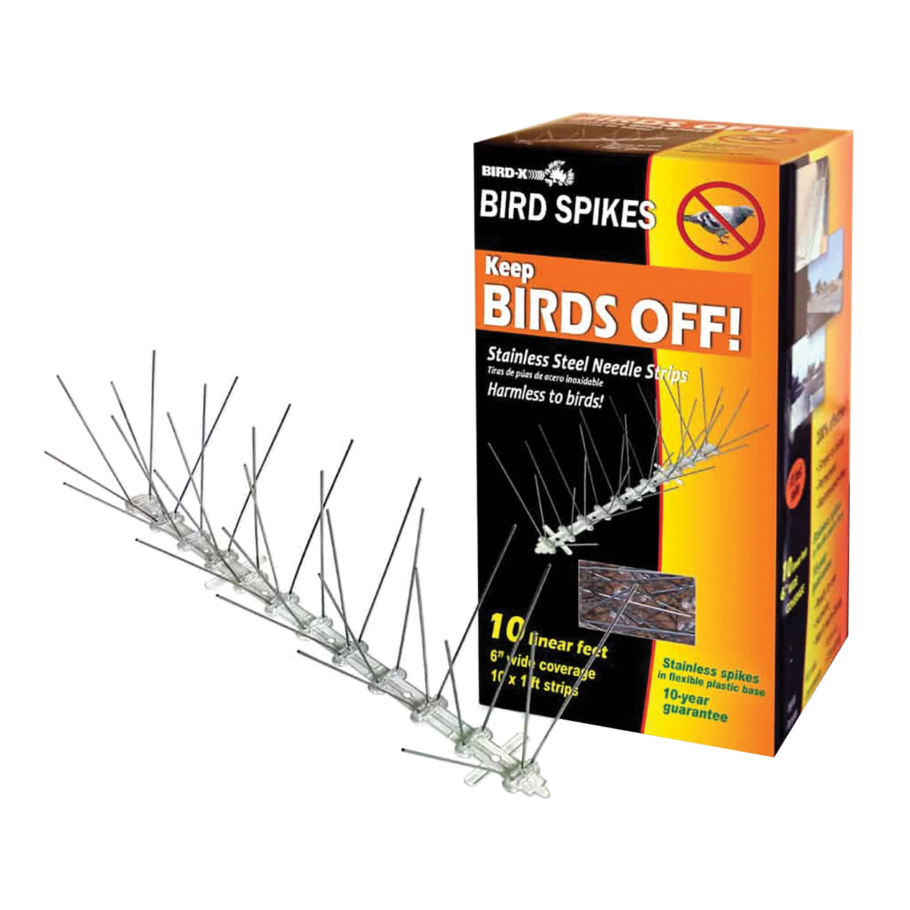 Bird-x STS-10-R
