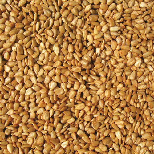 Cole's Hot Meats HM05 Blended Bird Seed, Cajun Flavor, 5 lb Bag - 2