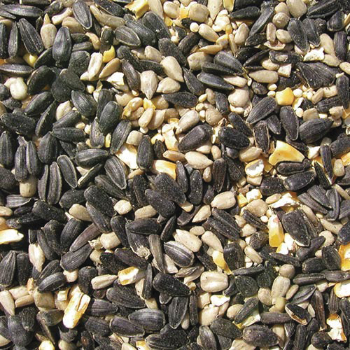 Cole's Blue Ribbon Blend BR05 Cracked Corn Wild Bird Food, 5 lb, Blended, Seed, Bag - 2