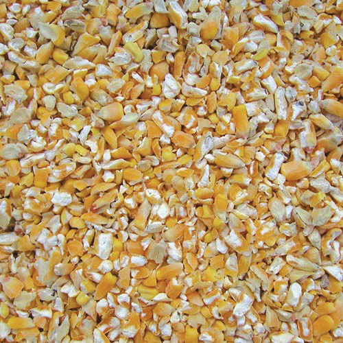 Cole's CC20 Cracked Corn Wild Bird Food, Straight, Seed, 20 lb Bag - 2