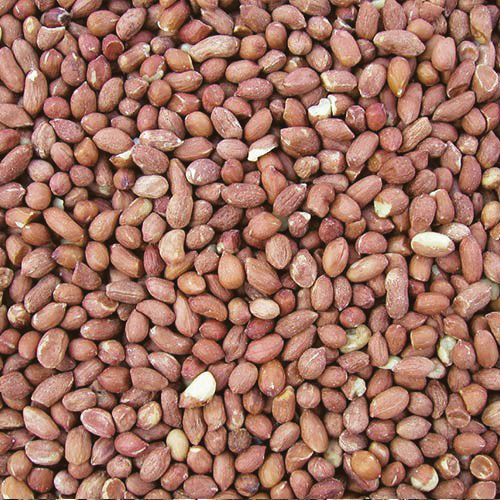 Cole's RP10 Raw Peanuts Wild Bird Food, Straight, Seed, 10 lb Bag - 2