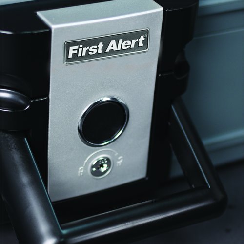 First Alert 2013F Protector Chest, 0.17 cu-ft, 14.1 in W x 6-1/4 in D x 11.65 in H Exterior, Resin, Slate, Keyed Lock - 3