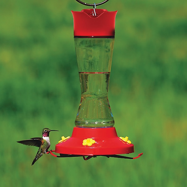 Perky-Pet 210PB Bird Feeder, Pinch Waist, 16 oz, 4-Port/Perch, Glass/Plastic, Red, 7.1 in H - 2