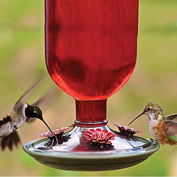 Perky-Pet 8109-2 Bird Feeder, 16 oz, 4-Port/Perch, Glass/Metal, Red, 10.6 in H - 3