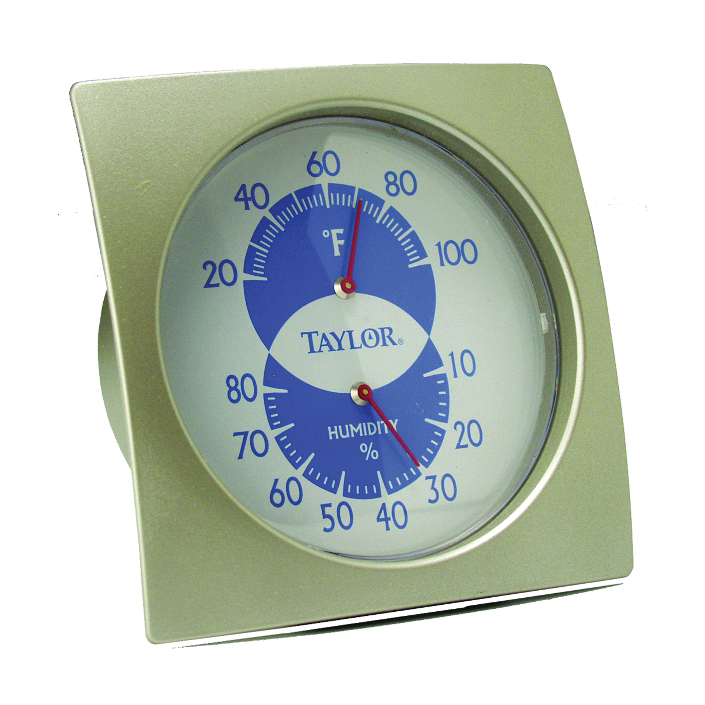 Taylor 5504