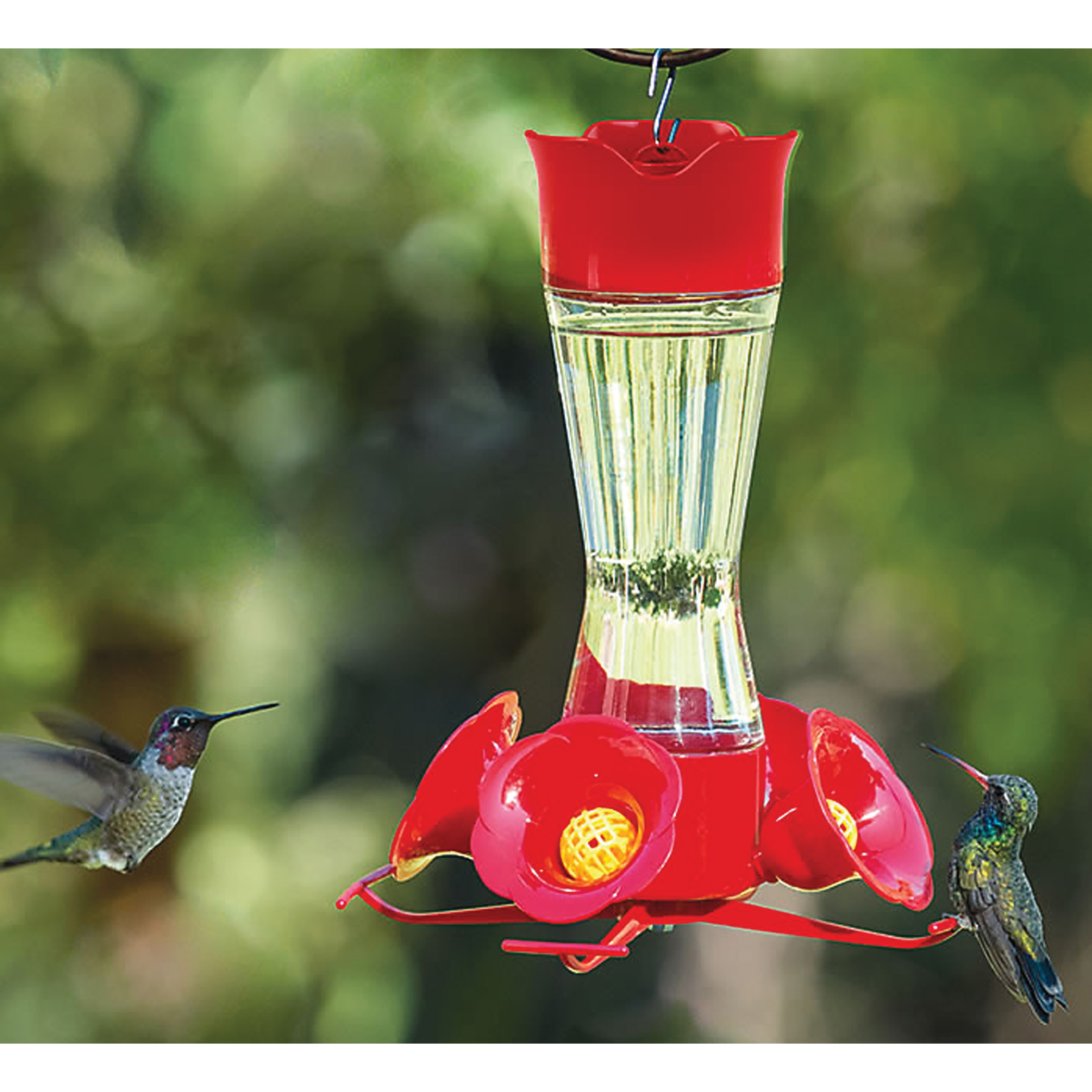 Perky-Pet 203CPBN Bird Feeder, 8 oz, 4-Port/Perch, Glass/Plastic, Bright Red, 8.38 in H - 2