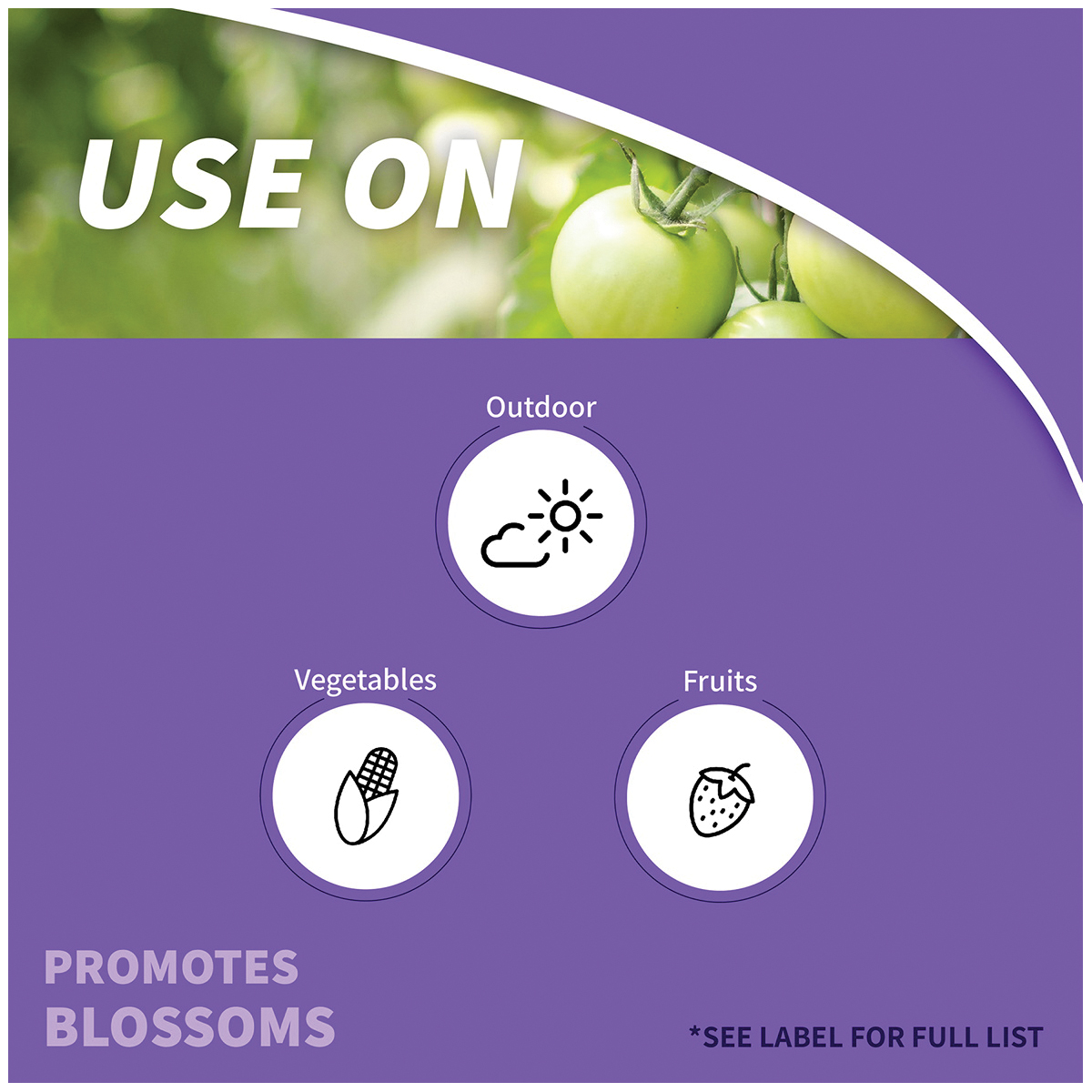 Bonide 543 Tomato and Blossom Set, 8 oz Bottle, Liquid - 4