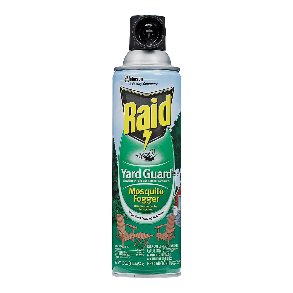 Raid 01601