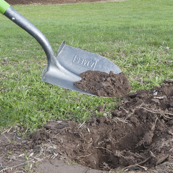 Ames 2535600 Shovel, 8-3/4 in W Blade, Steel Blade, Hardwood Handle, Long Handle, 48 in L Handle - 1