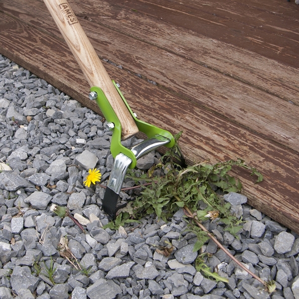 Ames 2825800 Action Hoe, 5-3/4 in W Blade, 3.67 in L Blade, Hardwood Handle, 58-1/2 in OAL - 2