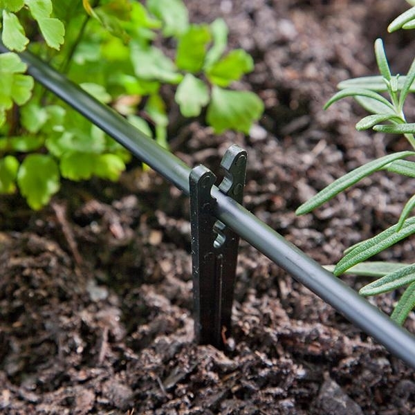 Raindrip 381025B Support Stake, Heavy-Duty, 6 in L, Plastic - 2