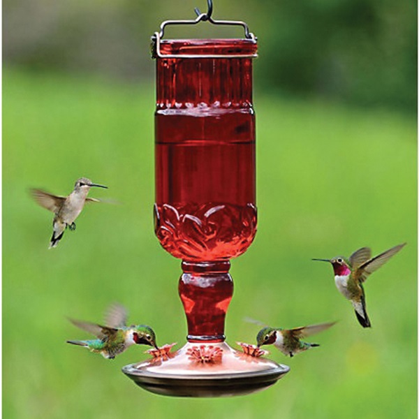 Perky-Pet 8119-2 Bird Feeder, 24 oz, 4-Port/Perch, Glass, Red, 11-1/2 in H - 2