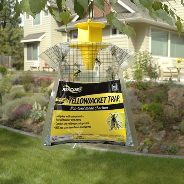 Rescue YJTD-DB12-W Disposable Yellow Jacket Trap - 2