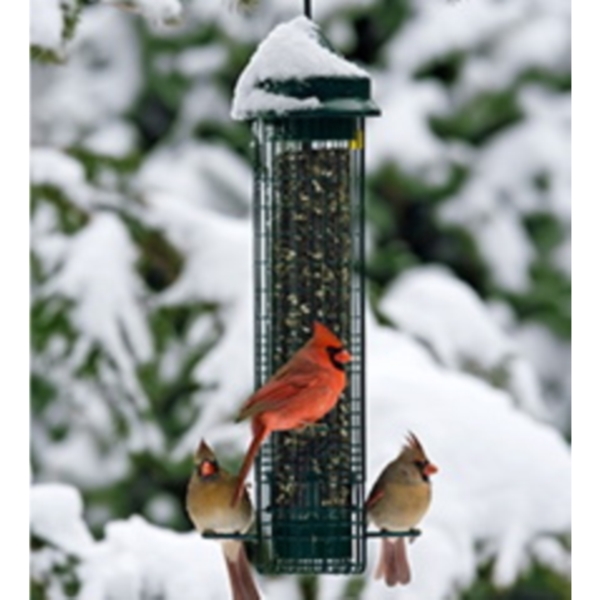 Squirrel Buster Classic 1015 Wild Bird Feeder, 20-5/8 in H, 2.4 lb, Metal/Plastic, Green - 4