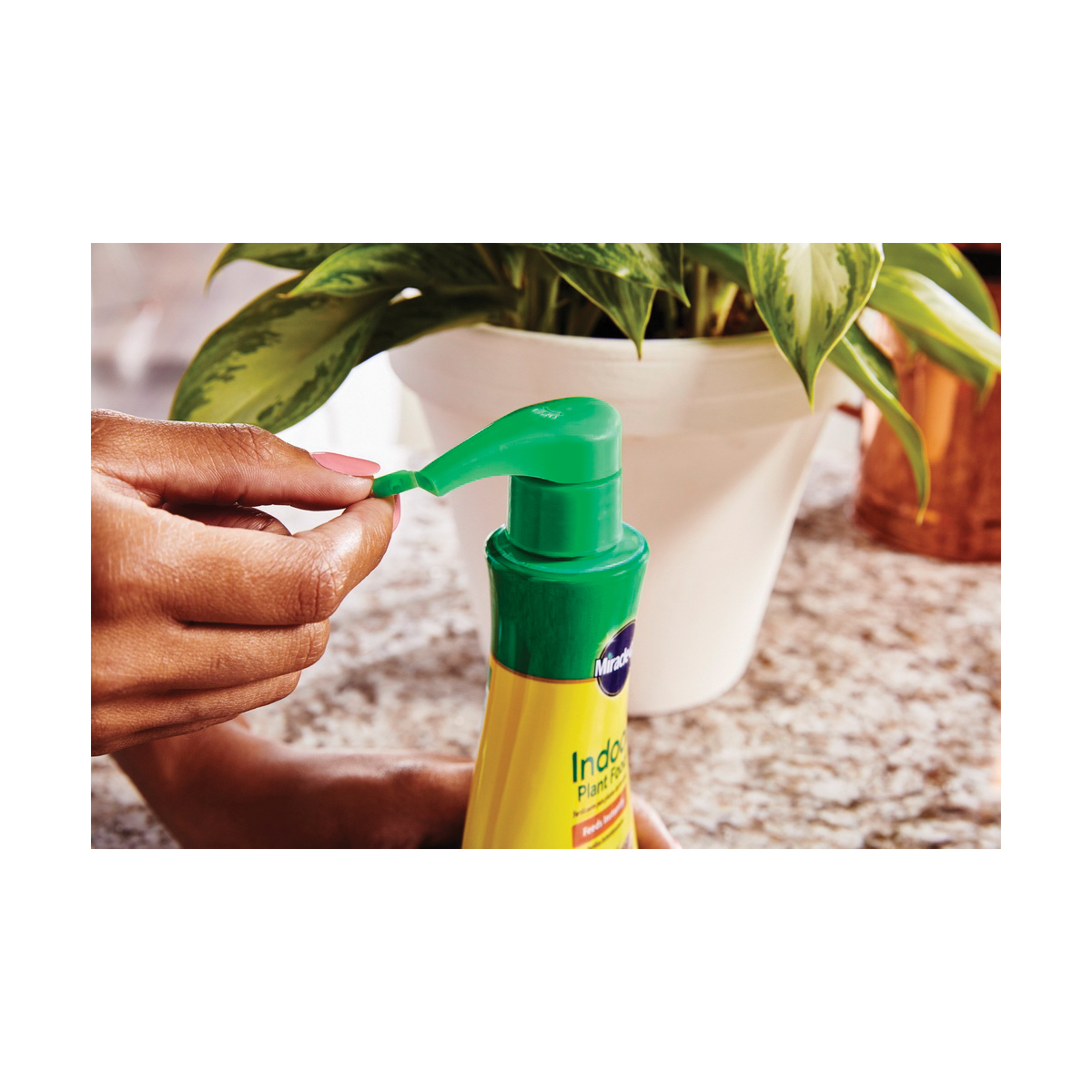 Miracle-Gro 1000551 Indoor Plant Food, 8 oz Bottle, Liquid, 1-1-1 N-P-K Ratio - 5