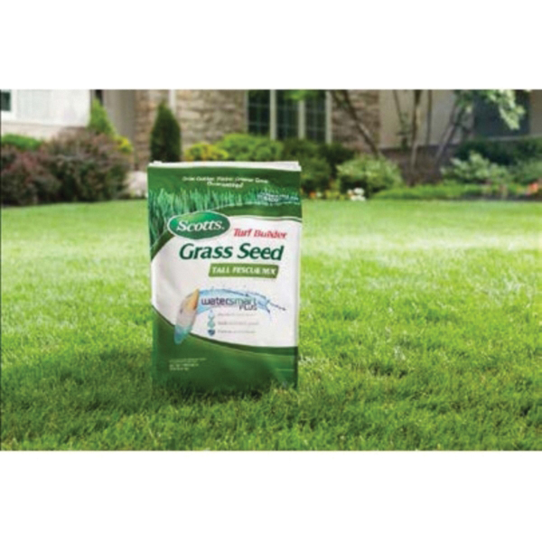 Scotts 18320 Tall Fescue Grass Seed, 3 lb Bag - 3