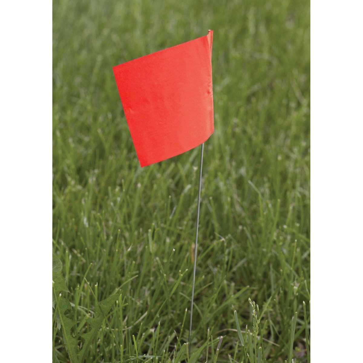 CH Hanson 15065 Stake Flag, Red, 2-1/2 in W Flag, 3-1/2 in H Flag, 15 in OAH, PVC Flag - 5