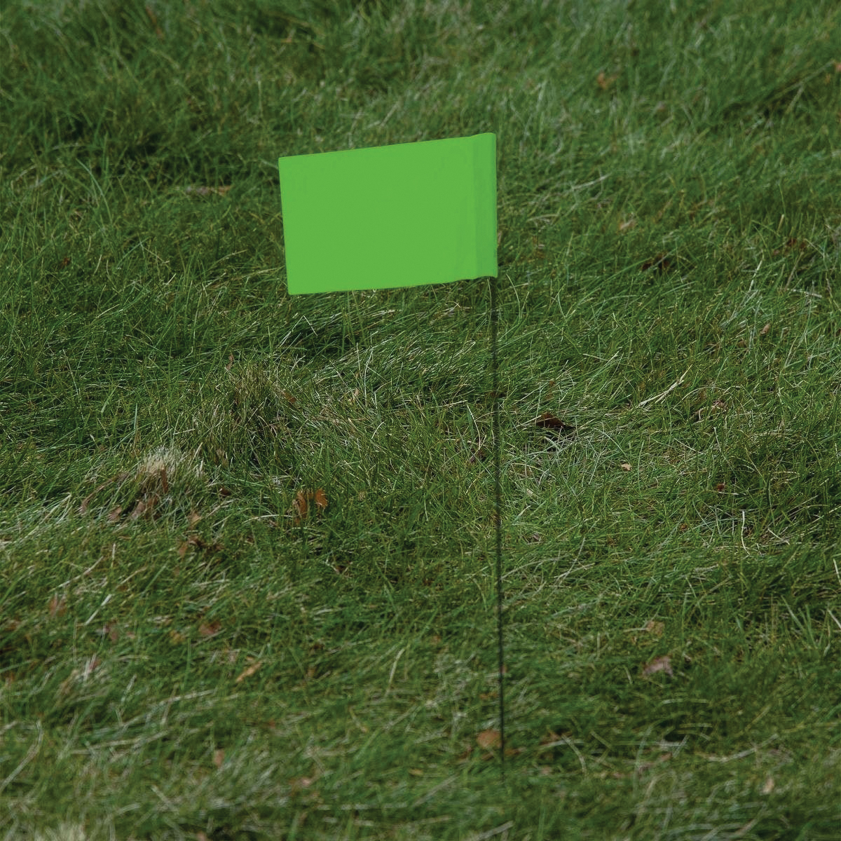 CH Hanson 15067 Stake Flag, Lime, 2-1/2 in W Flag, 3-1/2 in H Flag, 15 in OAH, PVC Flag - 4