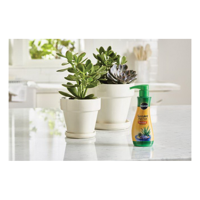 Miracle-Gro 2000532 Succulent Plant Food, 8 oz Bottle, Liquid, 0.5-1-1 N-P-K Ratio - 5