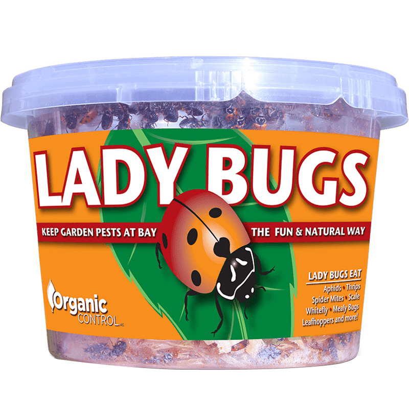 Orcon LB-R500 Live Ladybugs