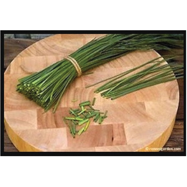 Renee's Garden 5470 Fine Leaf Chives Seed, Allium Schoenoprasum, February to May Planting, 750 Pack - 3