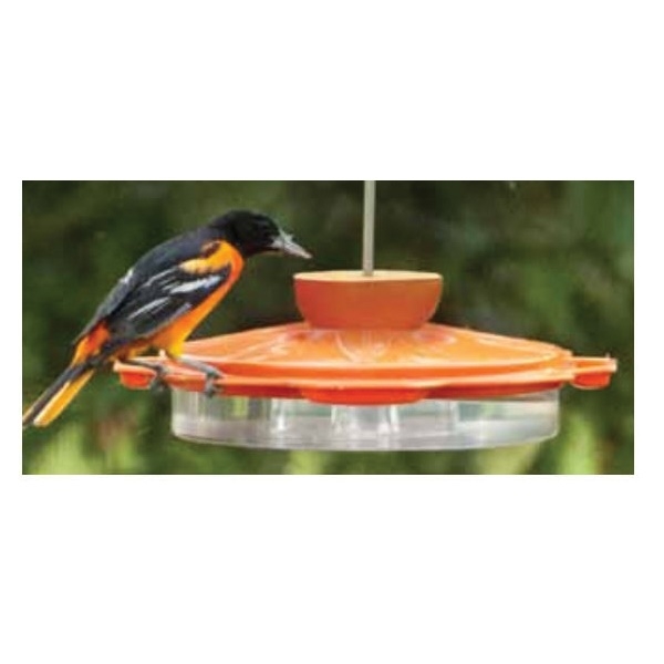 Audubon NAO1