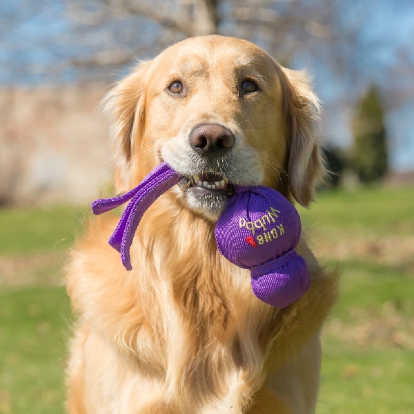 Kong Wubba WB1 Dog Toy, L, Squeaker, Nylon, Assorted - 2