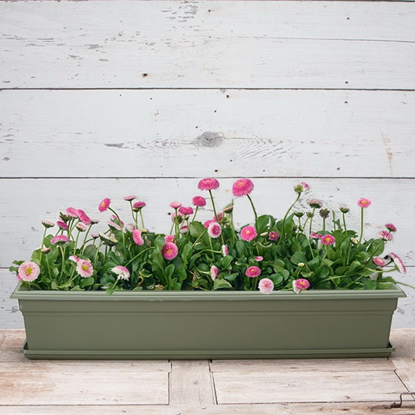 Novelty 10240 Flower Box Tray, 24 in L, Polypropylene, Sage - 2
