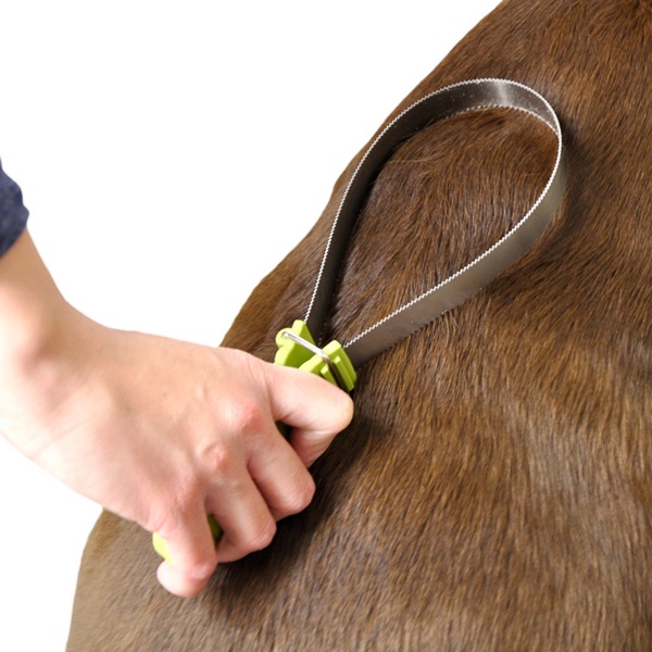 Coastal Pet Products W6100 NCL00 Shedding Blade, Dual-Sided, Stainless Steel, Dog - 2