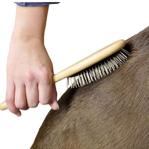 Coastal Pet Products W6141 PINSML Wire Pin Brush, Specifications: Small Size, Plastic, Dog - 2