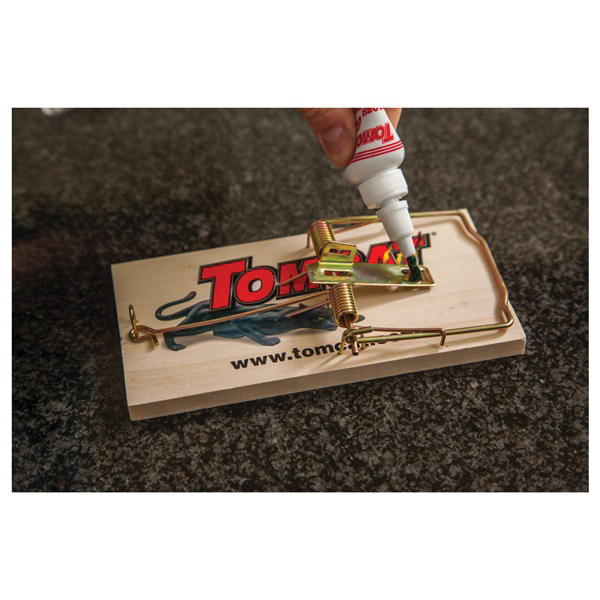 Tomcat 0362210 Attractant Gel, 1.38 in L, 3.63 in W, 6-1/2 in H, Gel Locking - 2