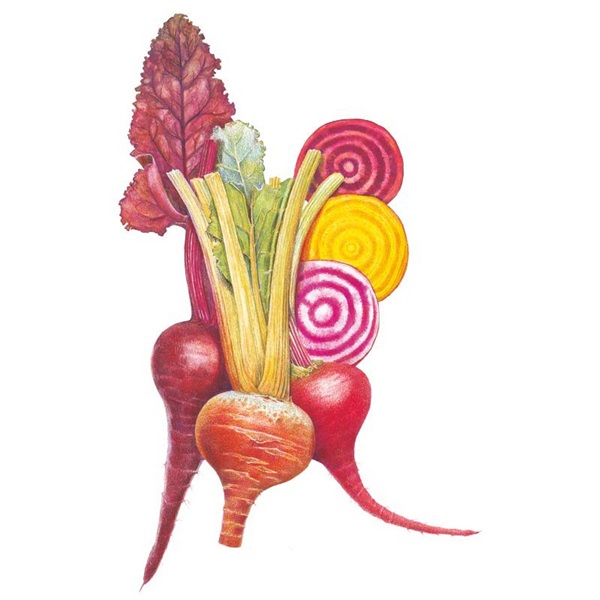 Botanical Interests 0174