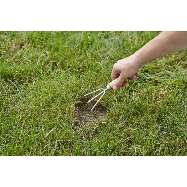 Scotts 17446 Dog Spot Repair, 2 lb Jug, 40 sq-ft Coverage Area - 2