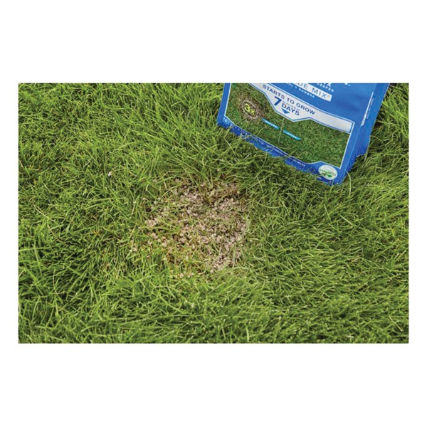 Scotts 14902 Lawn Repair Shade Mix, 10 lb Bag - 3