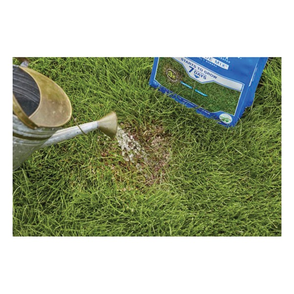 Scotts 14902 Lawn Repair Shade Mix, 10 lb Bag - 4