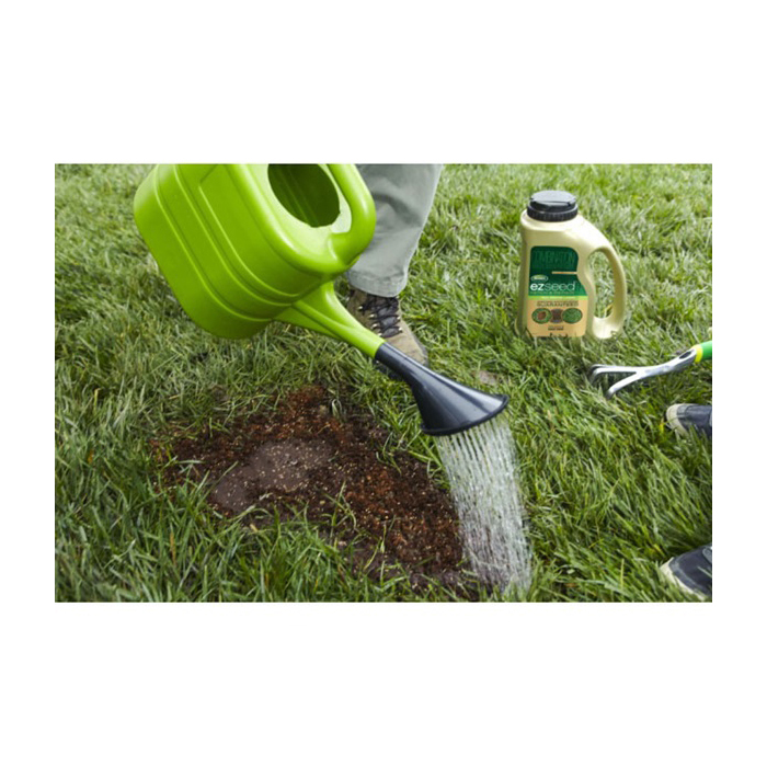 Scotts 17511 Tall Fescue Grass Seed, 3.75 lb Jug - 3