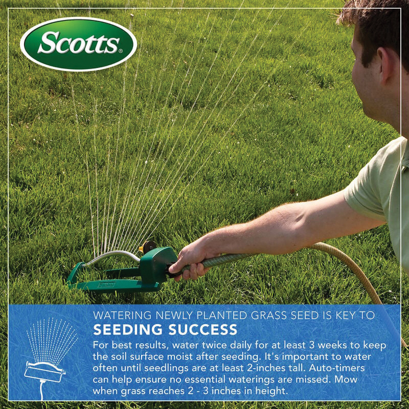 Scotts 17519 Tall Fescue Grass Seed, 10 lb Bag - 3