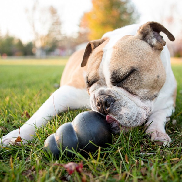 Kong Extreme K1 Dog Toy, L, Chew, Extreme, Rubber, Black - 2