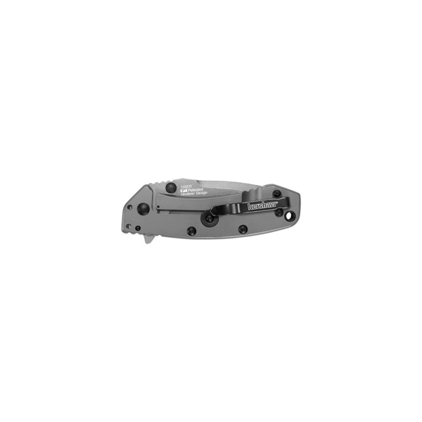 Kershaw Cryo Series 1555TI Pocket Knife, 2-3/4 in L Blade, Steel Blade, Gray Handle - 2