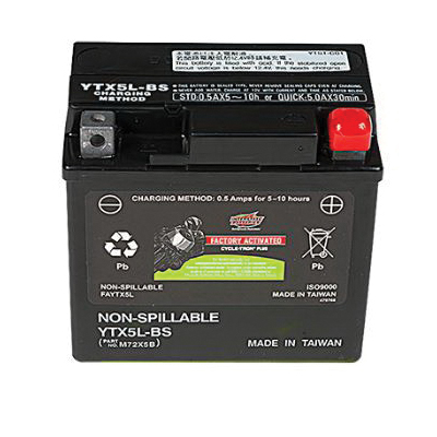 Interstate Batteries FAYTX5L