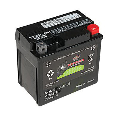 Interstate Batteries FAYTX5L Wet Battery, AGM, 12 V Battery, 4 Ah - 3