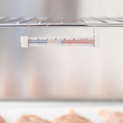 Taylor 5977N Thermometer, White - 2