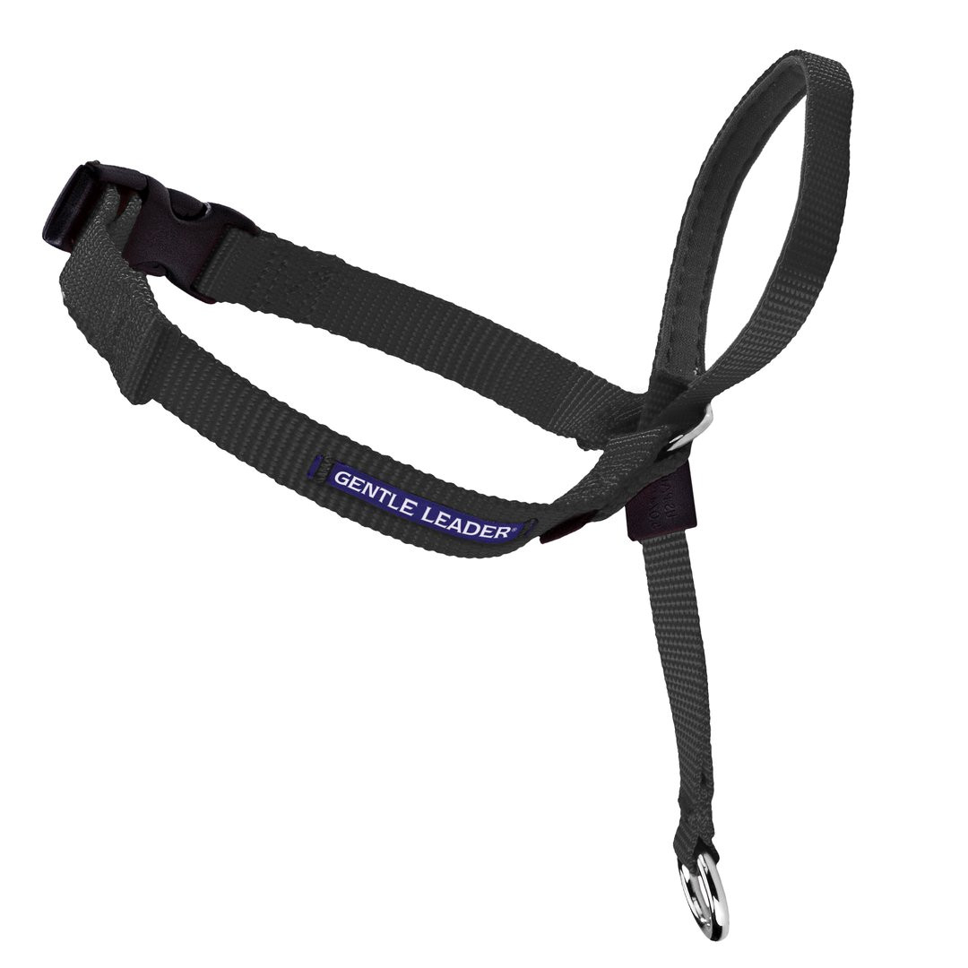 Petsafe GL-Q-HC-L-BLK