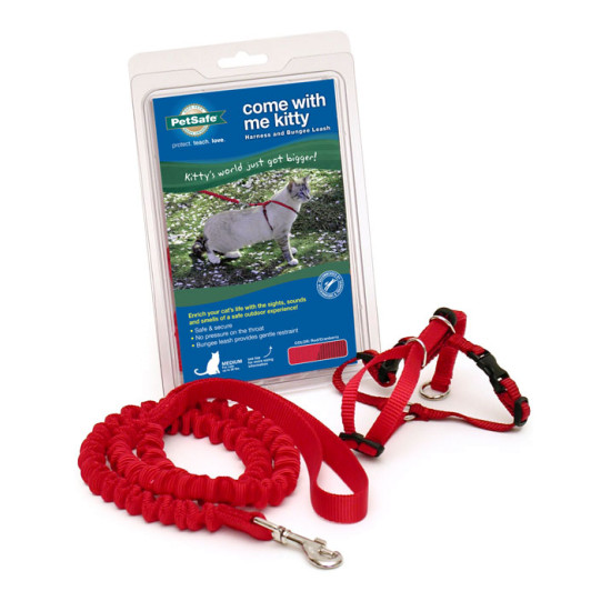 PetSafe Come with Me Kitty CWMK-S-RED Cat Harness and Bungee Leash, S, 3/8 in W, Nylon Harness, Black/Red - 2