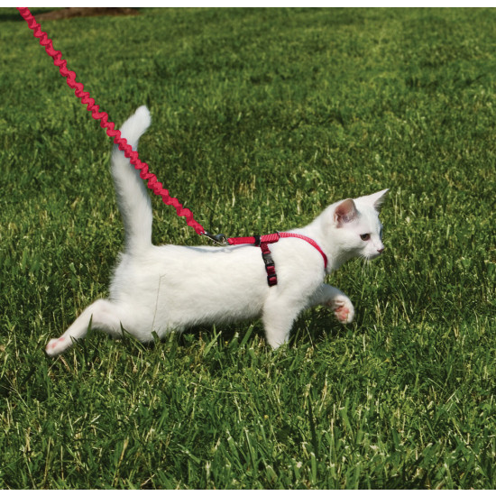 PetSafe Come with Me Kitty CWMK-S-RED Cat Harness and Bungee Leash, S, 3/8 in W, Nylon Harness, Black/Red - 3