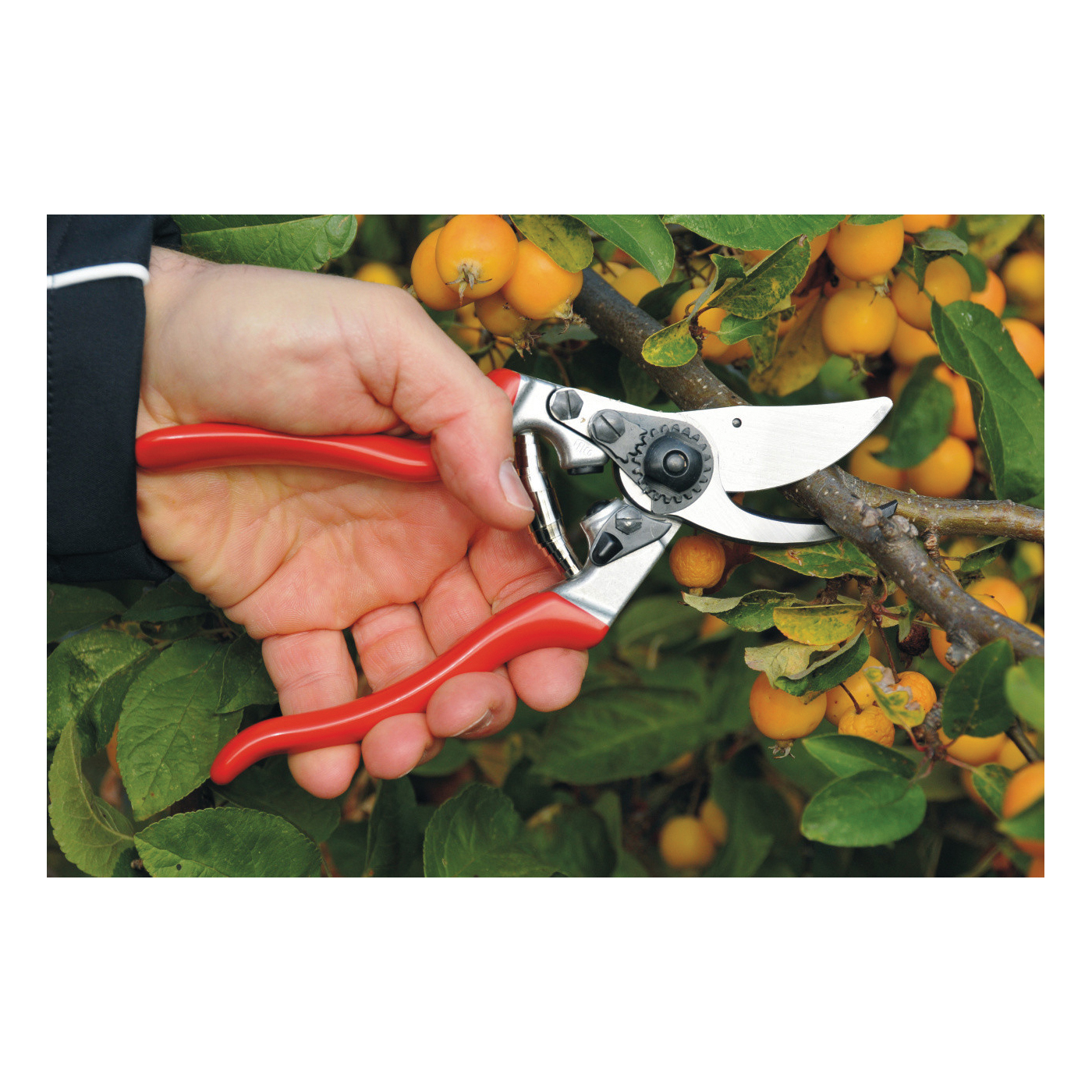 Felco F-9 Pruning Shear, Red Handle, 0.98 in Cutting Capacity, Steel Blade, Bypass Blade, Aluminum Handle - 2