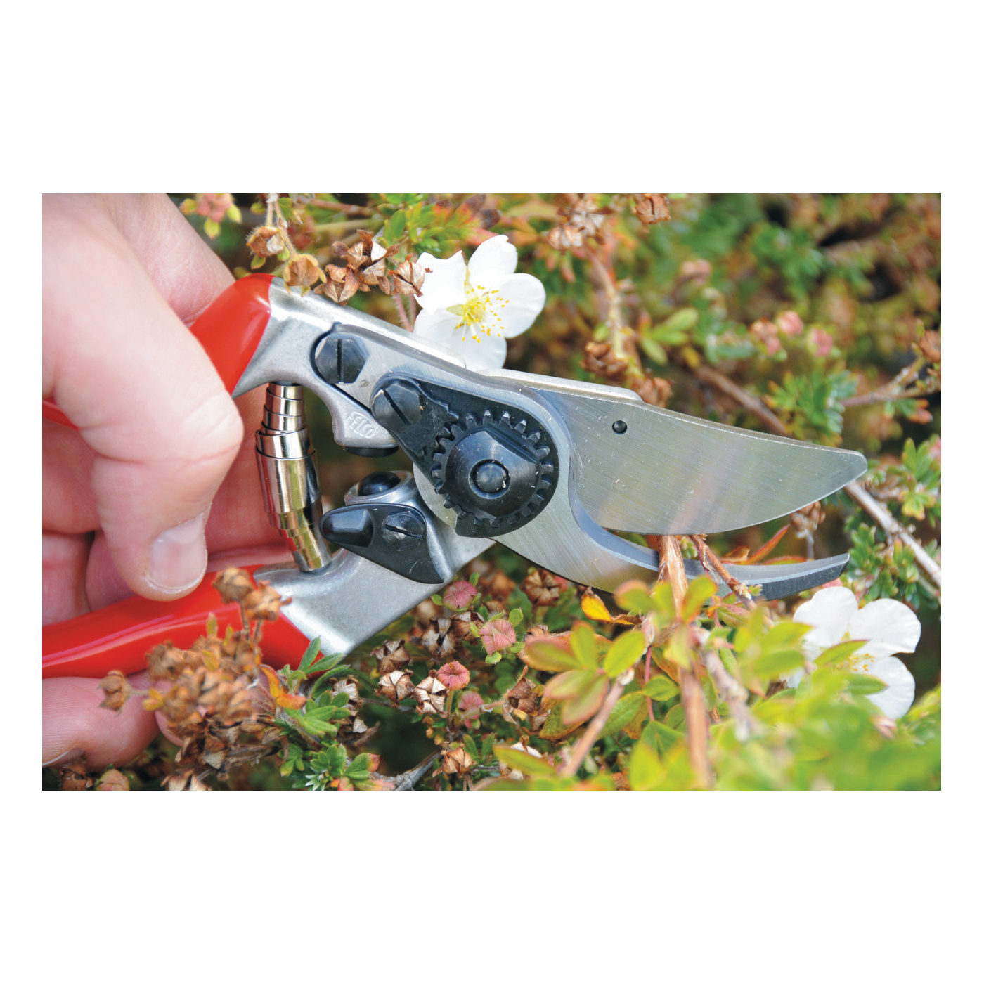 Felco F-9 Pruning Shear, Red Handle, 0.98 in Cutting Capacity, Steel Blade, Bypass Blade, Aluminum Handle - 3